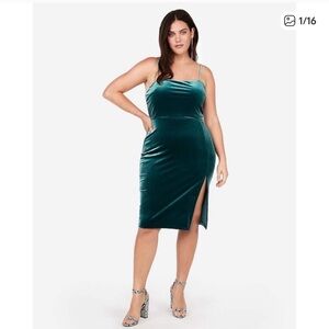 Express Velvet Dress